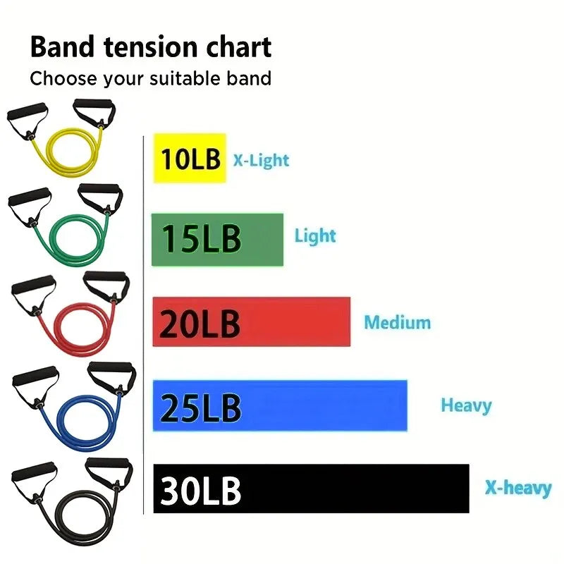 Fitness Resistance Bands – Full Body Workout Rubber Bands for Strength Training, Core & Muscle Toning